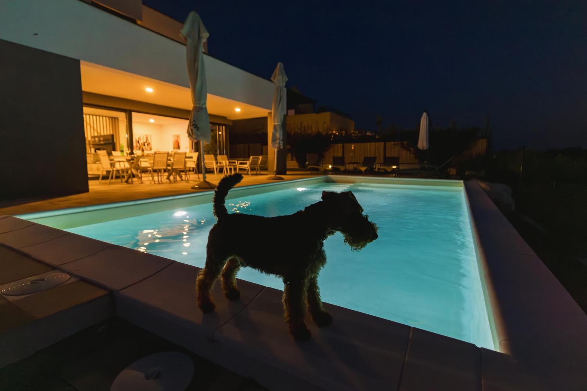 Villa Boiky - Private Pool And Amazing Sea View, Istria Materada Eksteriør bilde