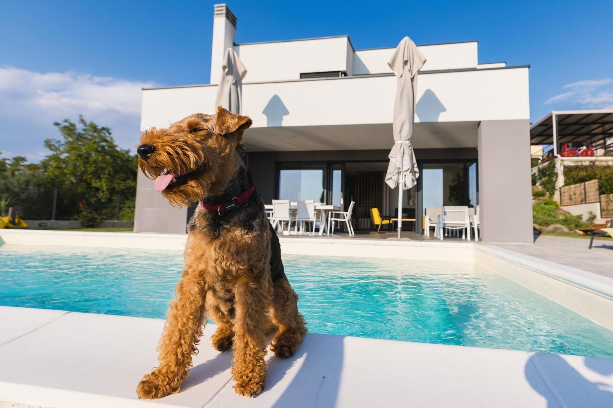 Villa Boiky - Private Pool And Amazing Sea View, Istria Materada Eksteriør bilde
